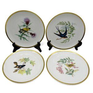Hutschenreuther AUDUBON Bird Decorative PLATES Set of 4 Bavaria Germany 8 Inches